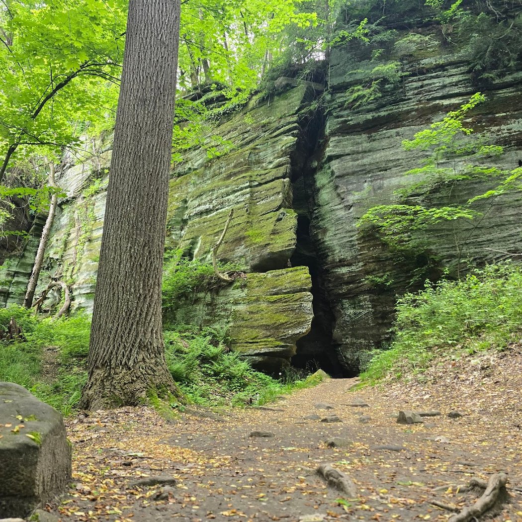 Liberty Park 1